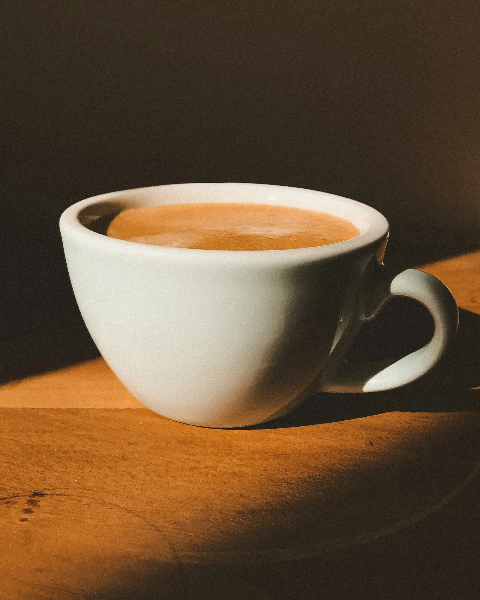 Kot i gest bliskości – emocjonalny wymiar marki Mruczek Café